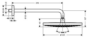 Верхний душ Hansgrohe Raindance Select S 300 2jet 27378400