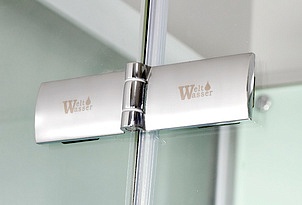 Душевая кабина Weltwasser Waise-1 100x100