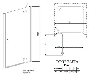 Душевая дверь в нишу Radaway Torrenta DWJ 120 стекло графит R